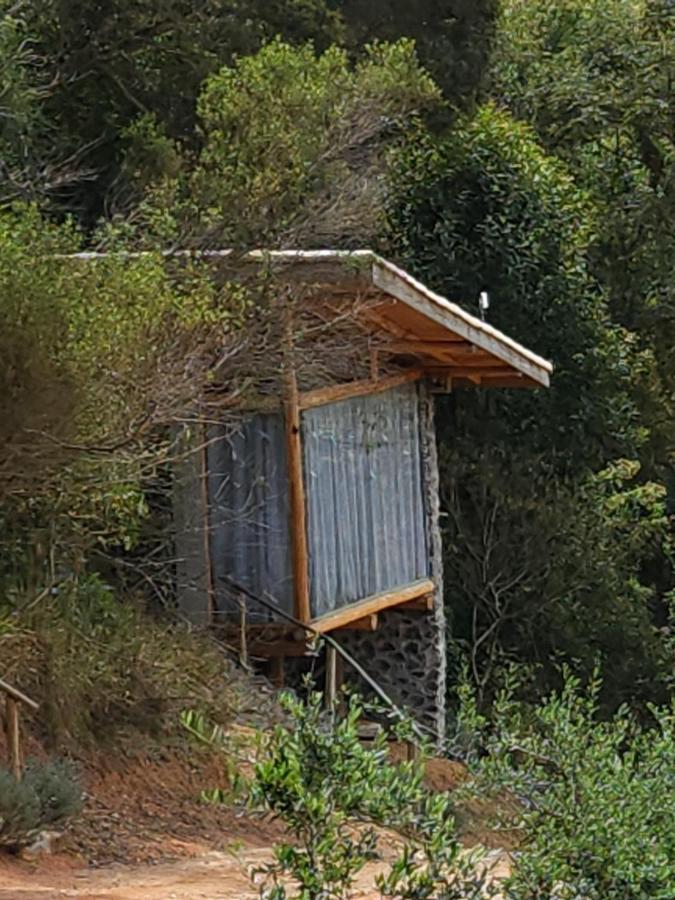 Tiny Houses O Olival - Aluguel Temporada 库尼亚 外观 照片